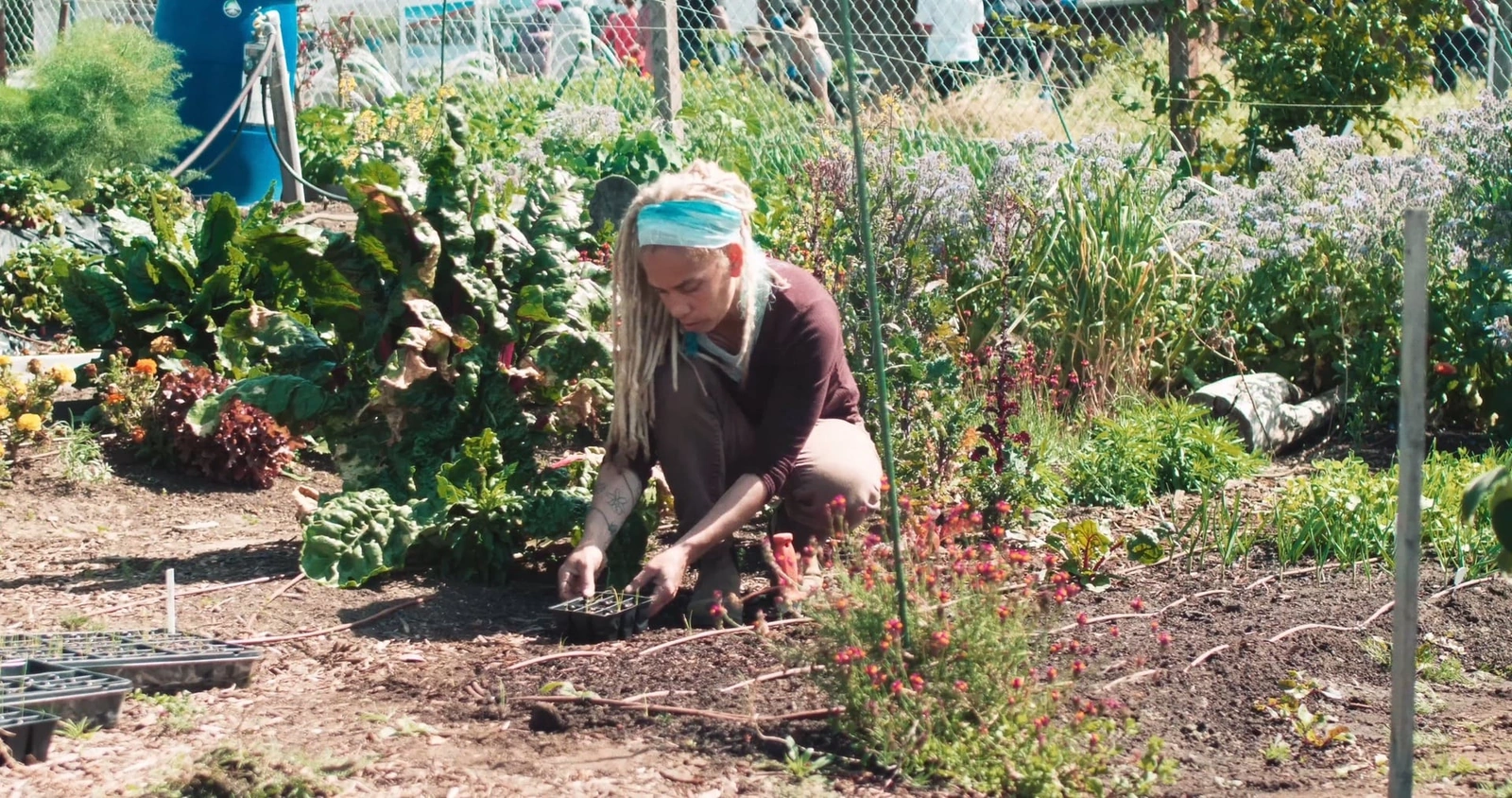 Florence Fang Community Farm