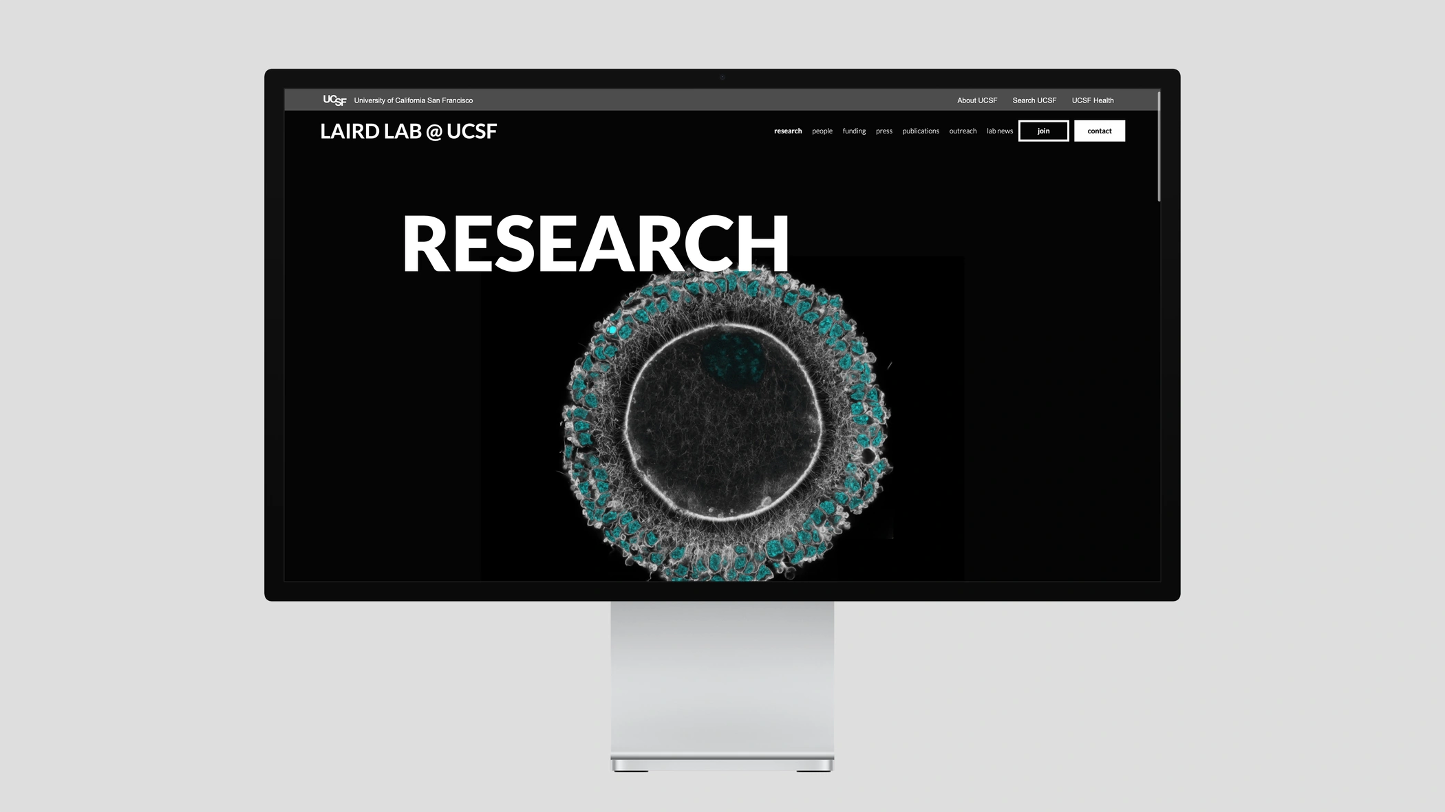 Laird Lab